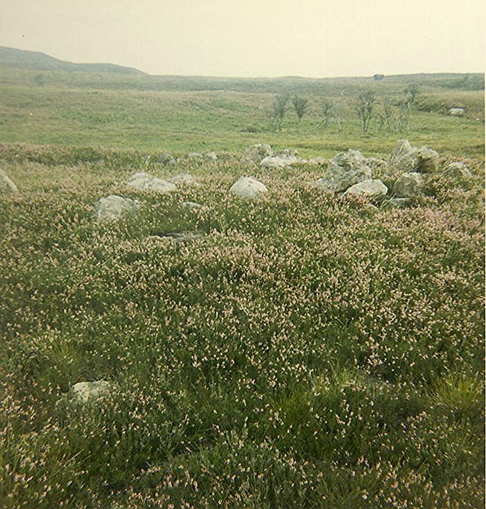 Hut Circle, on Seanval to Clyne Old Track