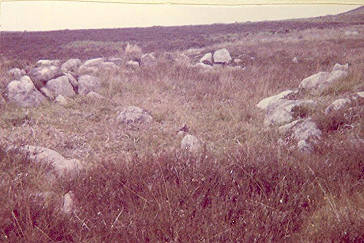Hut Circle, Achinael (118)