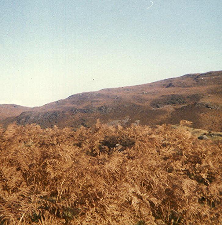 Enclosure below Allt an Dun