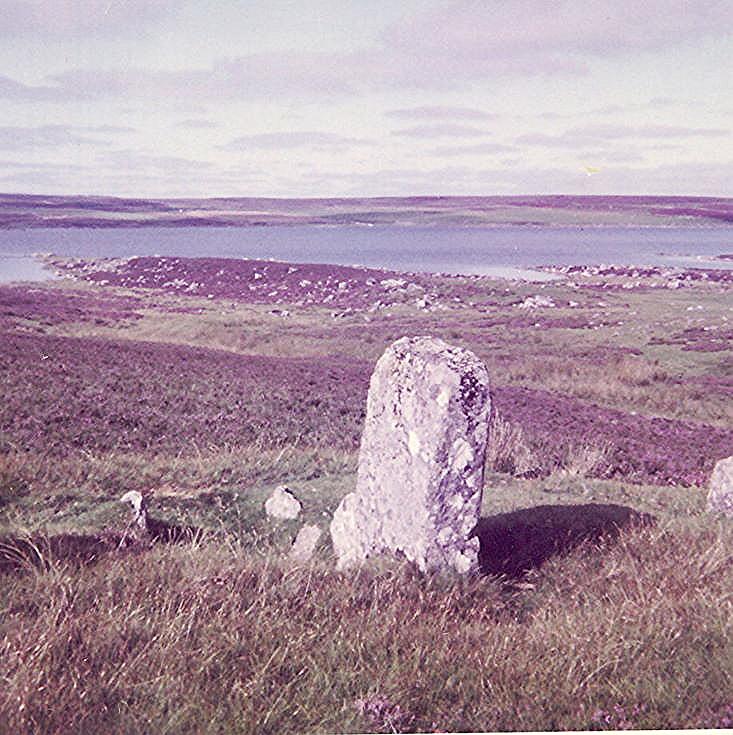 Stone Circle at Achavanich II ~ Most northerly stone