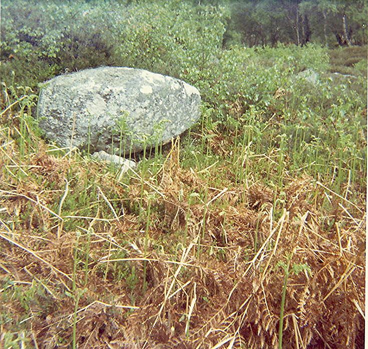 Broch ~ Dun Alascaig, near Edderton