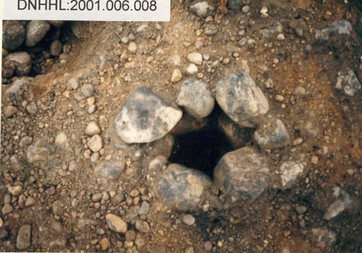 Cyderhall souterrain dig
