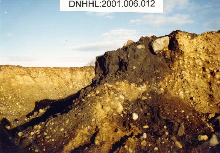 Cyderhall souterrain dig