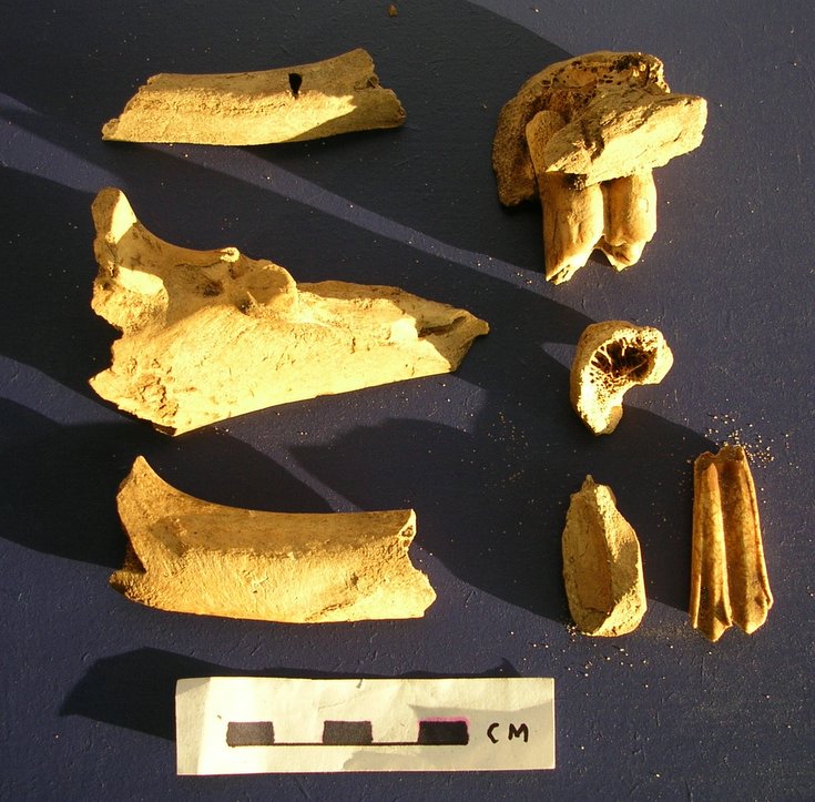 Archaeological finds Dornoch Business Park 2008