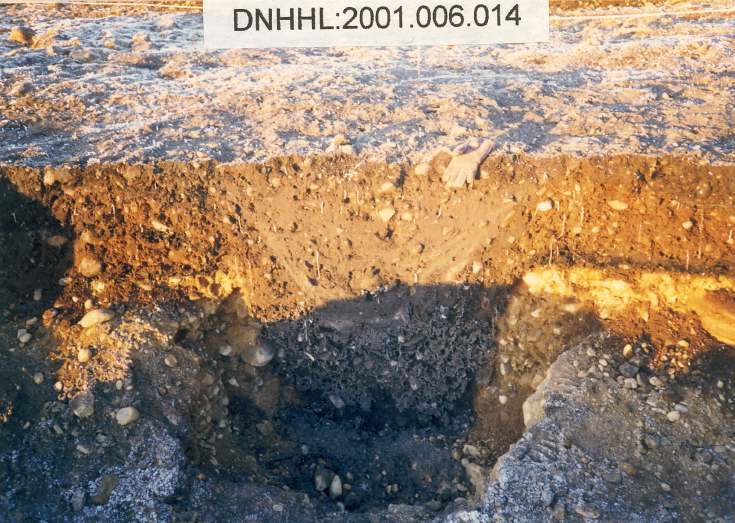 Cyderhall souterrain dig