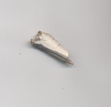 Burnt antler fragment Dornoch Business Park survey 2006