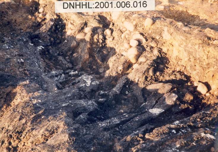 Cyderhall souterrain dig