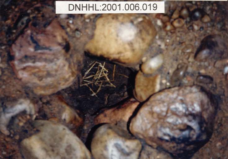 Cyderhall souterrain dig