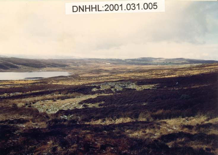 Leathad a' Chuailein main settlement