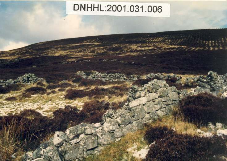 Leathad a' Chuailein main settlement