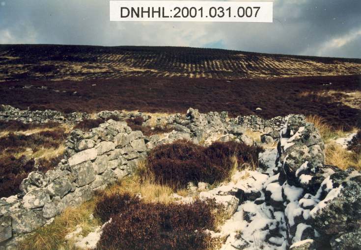 Leathad a' Chuailein main settlement