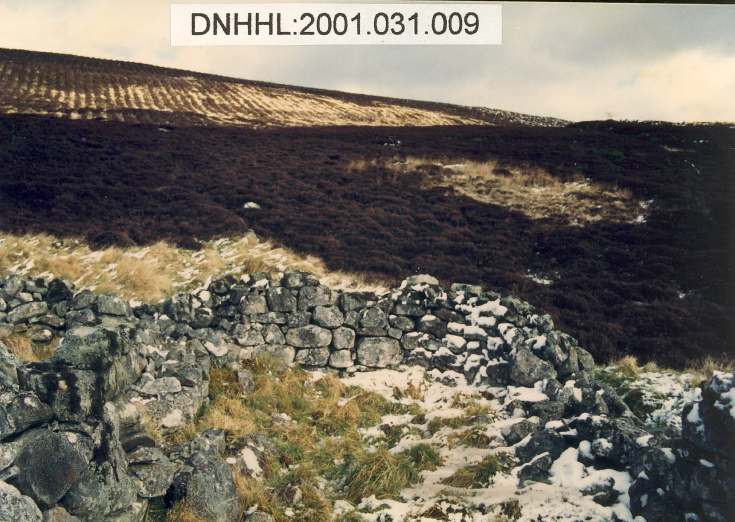Leathad a' Chuailein main settlement