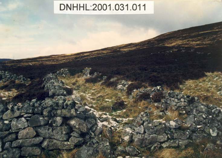Leathad a' Chuailein main settlement