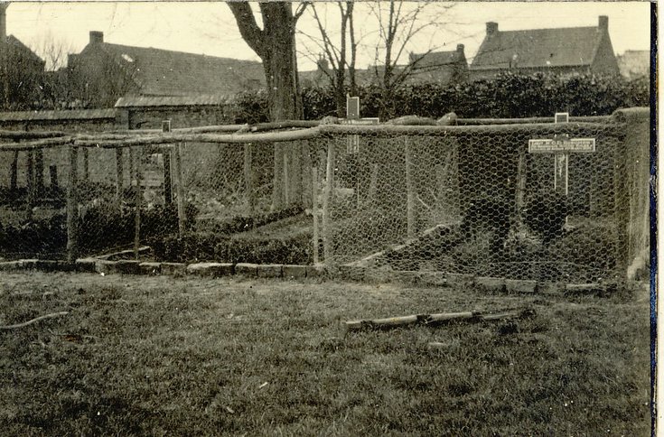 Several enclosed graves