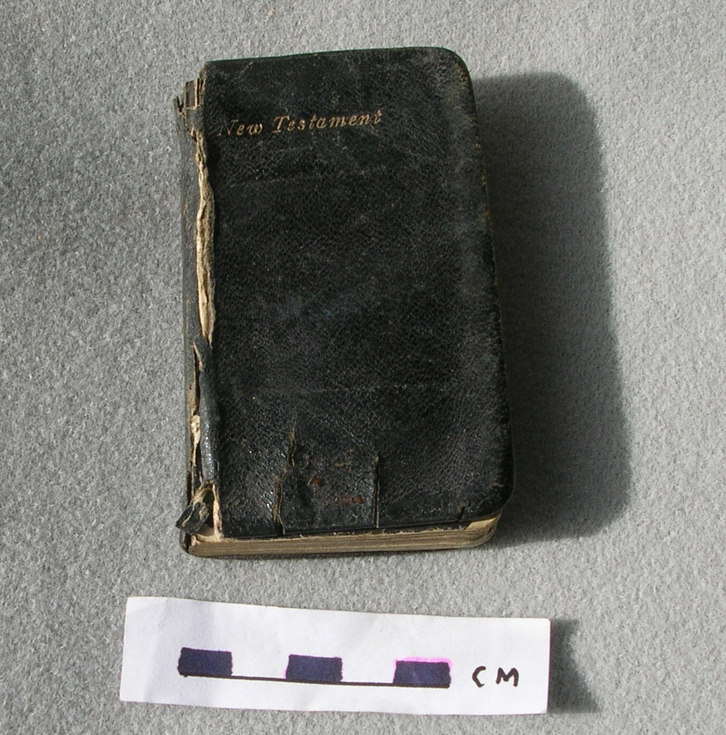 New Testament 1900