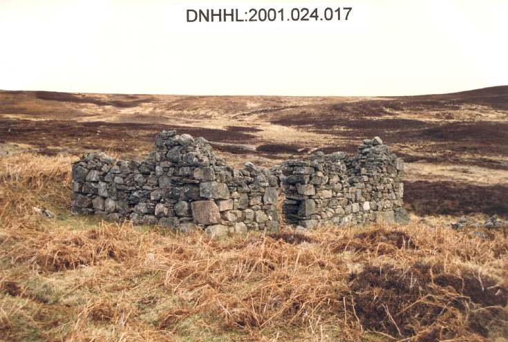 Srath Ach a' Bhathaich - photos by Peter Sargent