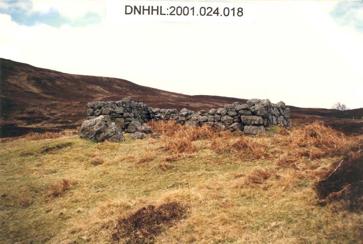 Srath Ach a' Bhathaich - photos by Peter Sargent