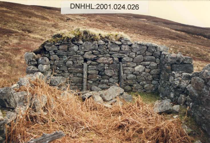 Srath Ach a' Bhathaich - photos by Peter Sargent
