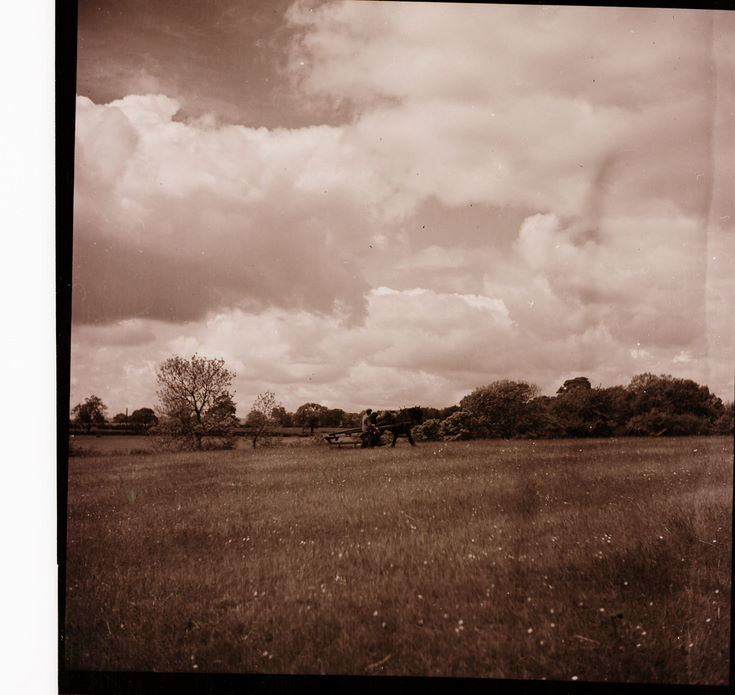Collection of negatives belonging to Miss K. L. Lyon
