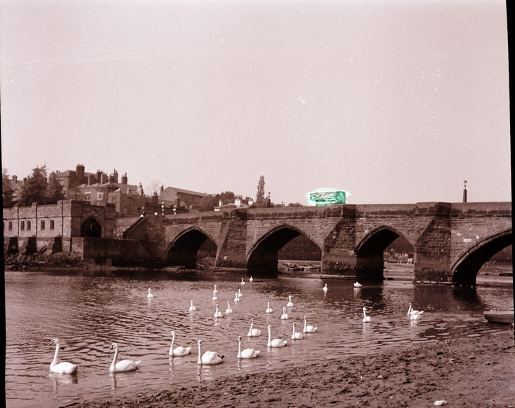 Chester Bridge ~ Collection of negatives belonging to Miss K. L. Lyon