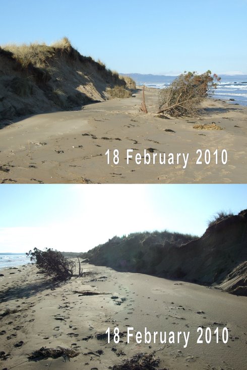 Dornoch links dune erosion Feb 2010