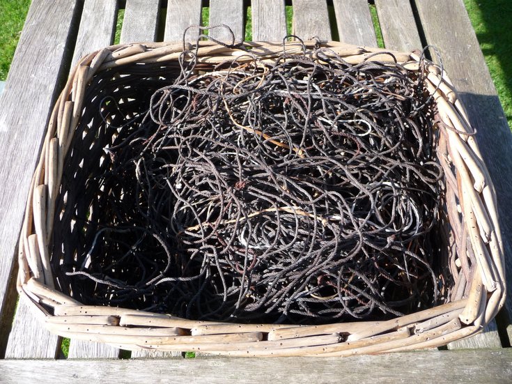 Fishing bait line from Embo fishing fleet