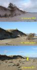 Dornoch links dune erosion Feb 2011