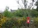 Roadside post box marking site of the old Fourpenny Post Office