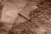 Mercat Cross original surrounds - unearthed human bone?