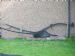 Single furrow horse plough