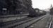 Train at Dornoch station