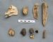 Bone fragments from Cyderhall Souterrain