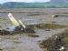 Remains of Embo fishing fleet at Loch Fleet