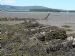 Remains of Embo fishing fleet at Loch Fleet