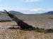 Remains of Embo fishing fleet at Loch Fleet