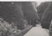 Kathleen Lyon photograph collection - Powis Castle garden