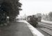 Dornoch Light Railway photographs
