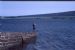 Dornoch Firth bridge under construction