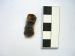 Flint fragment with some rippling on one side