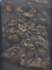 A bag of flint samples found at Littleferry