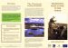Traditional Peatcutting in the North - past and present